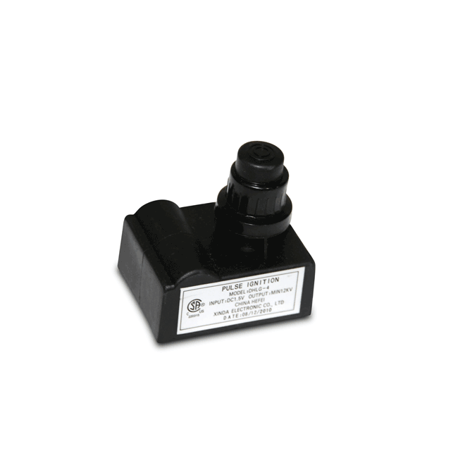 Electronic Ignition Module